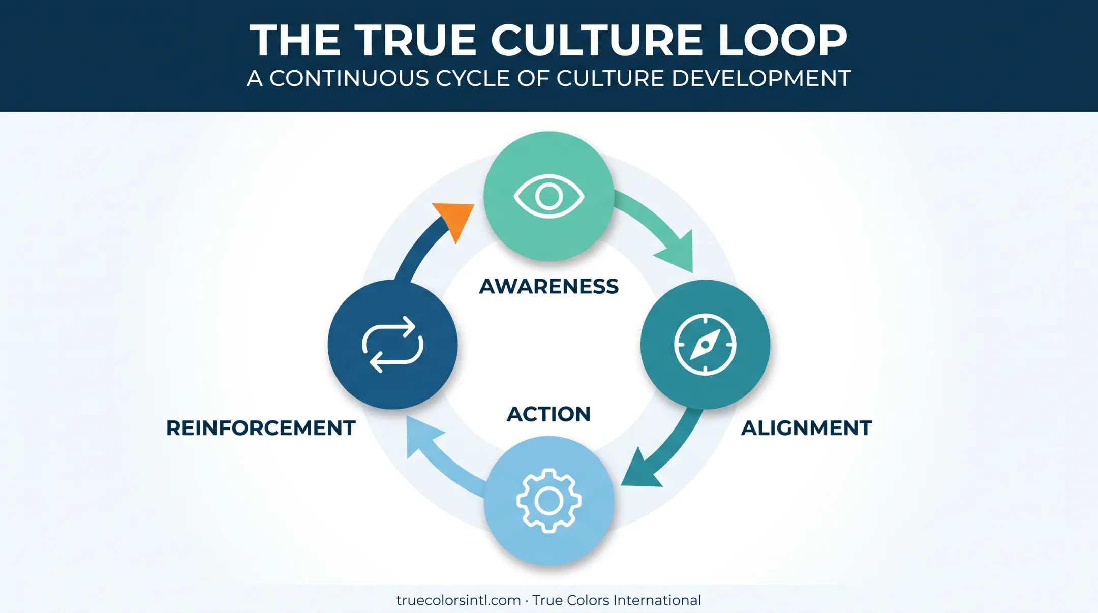 True Culture Loop four-stage continuous cycle diagram