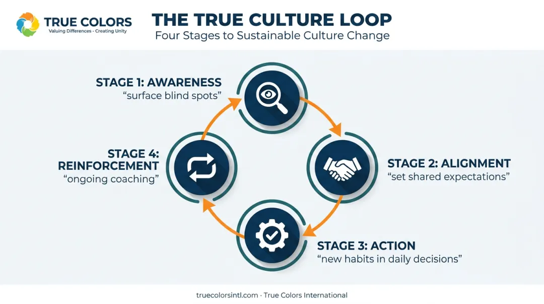 True Culture Loop four-stage framework Awareness Alignment Action Reinforcement