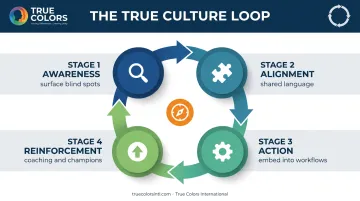 True Culture Loop four-stage framework from awareness to reinforcement