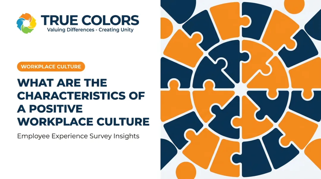 What Are the Characteristics of a Positive Workplace Culture