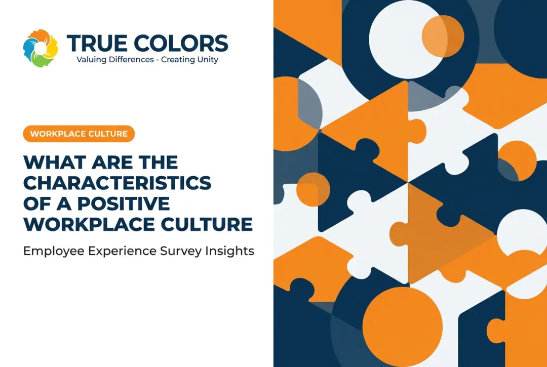 What Are the Characteristics of a Positive Workplace Culture