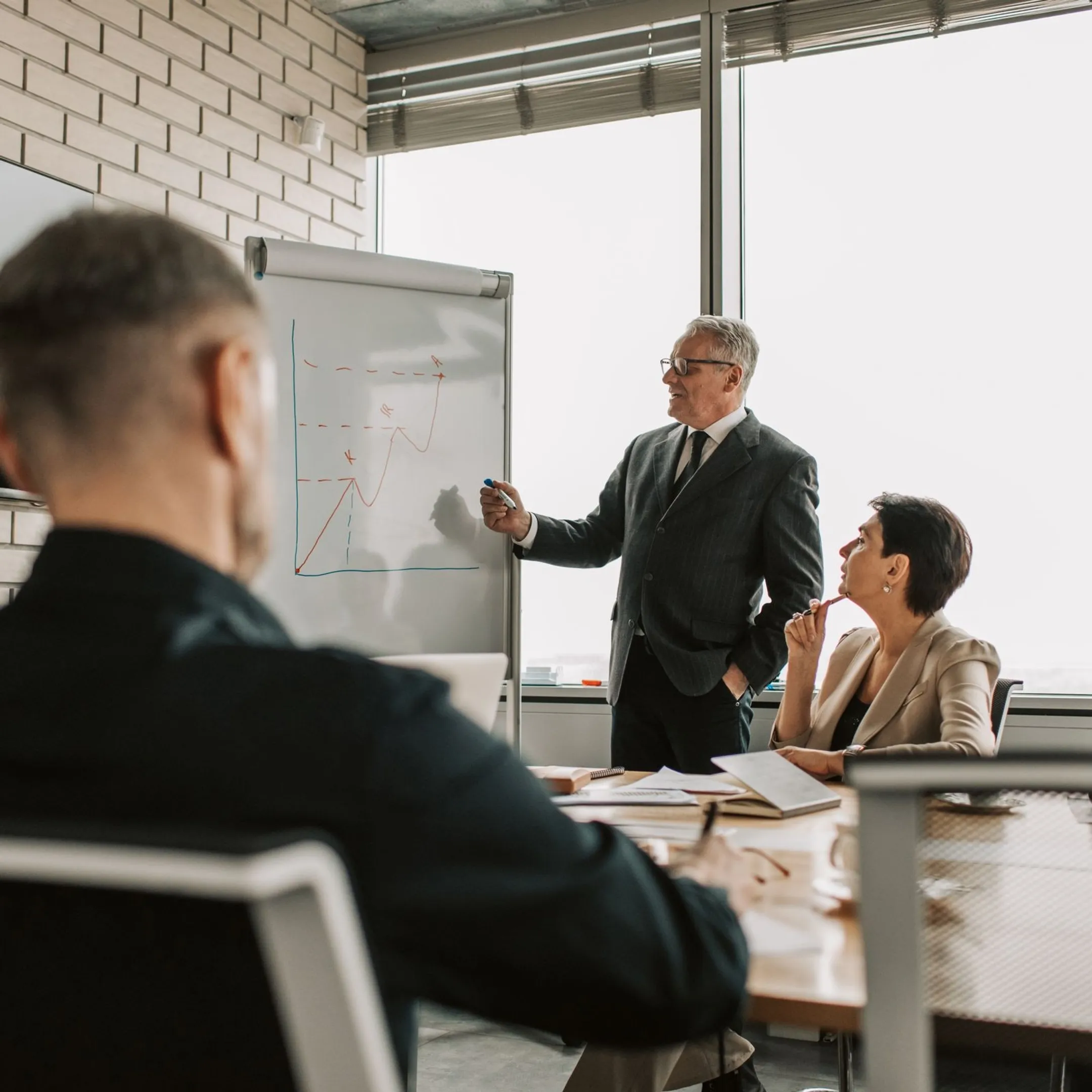 Corporate leadership consultant presenting governance frameworks to enterprise executives
