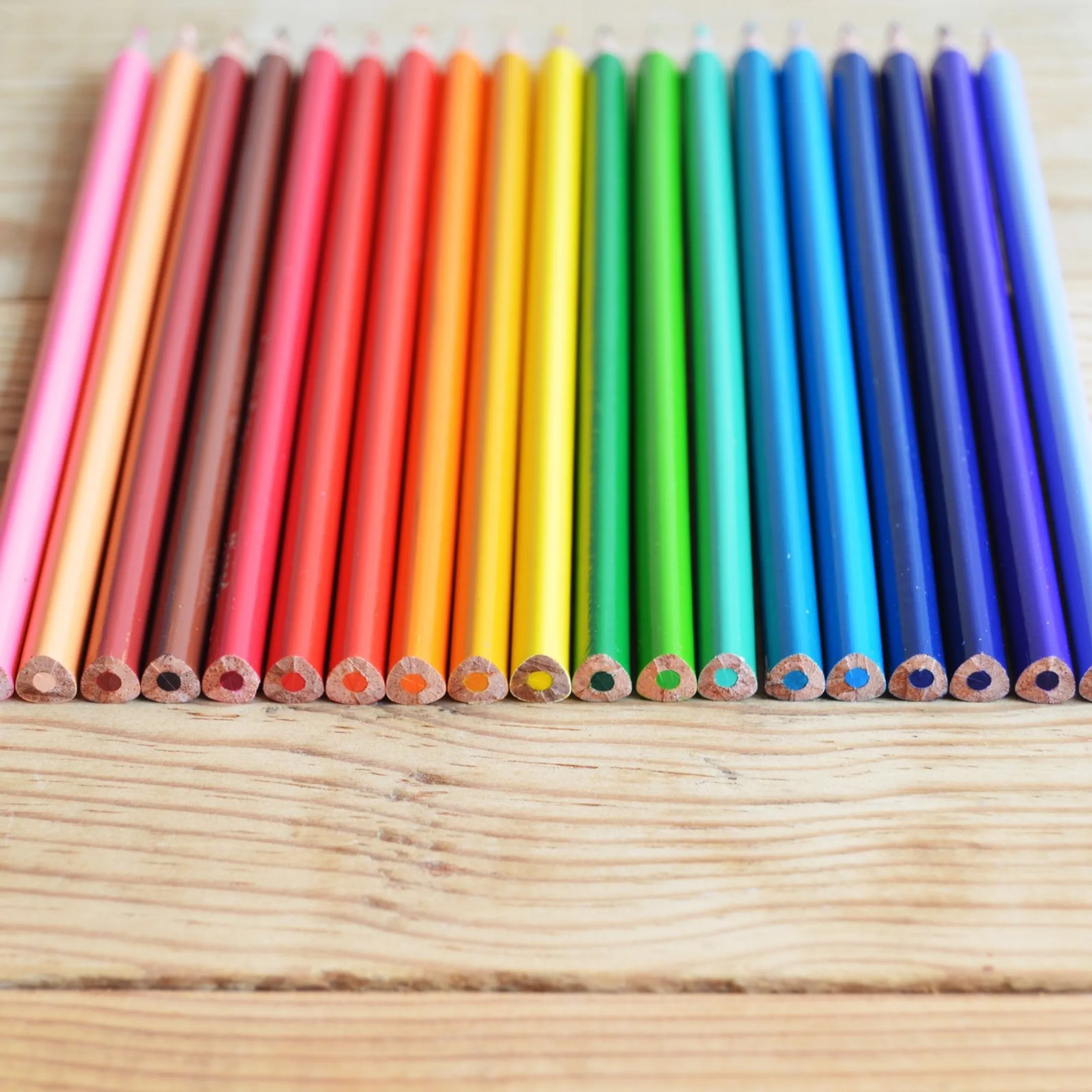 Facilitator leading a True Colors personality workshop