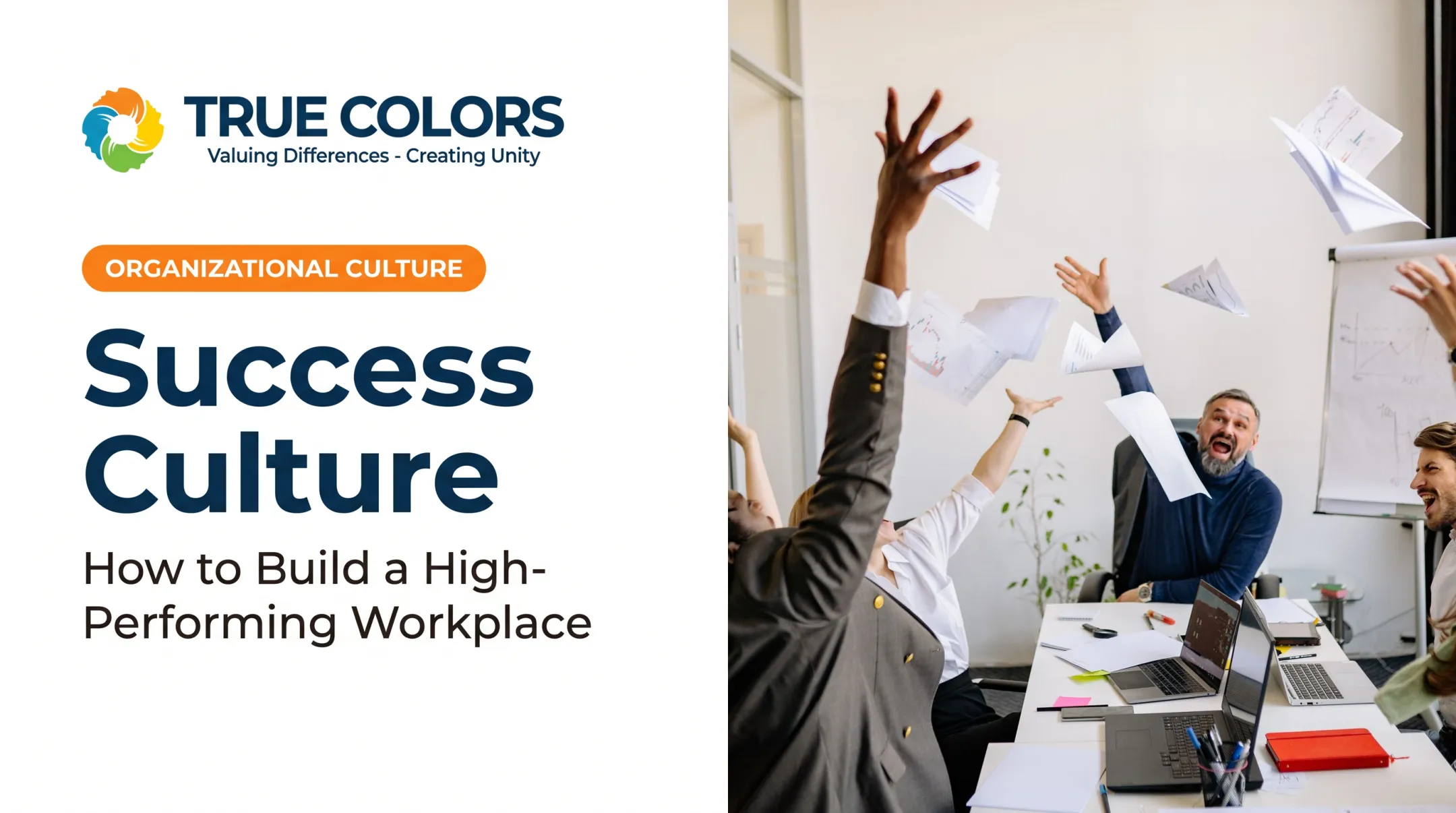 Success Culture: How to Build a High-Performing Workplace