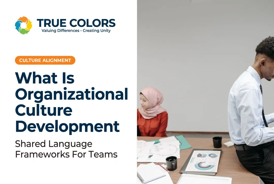 What Is Organizational Culture Development