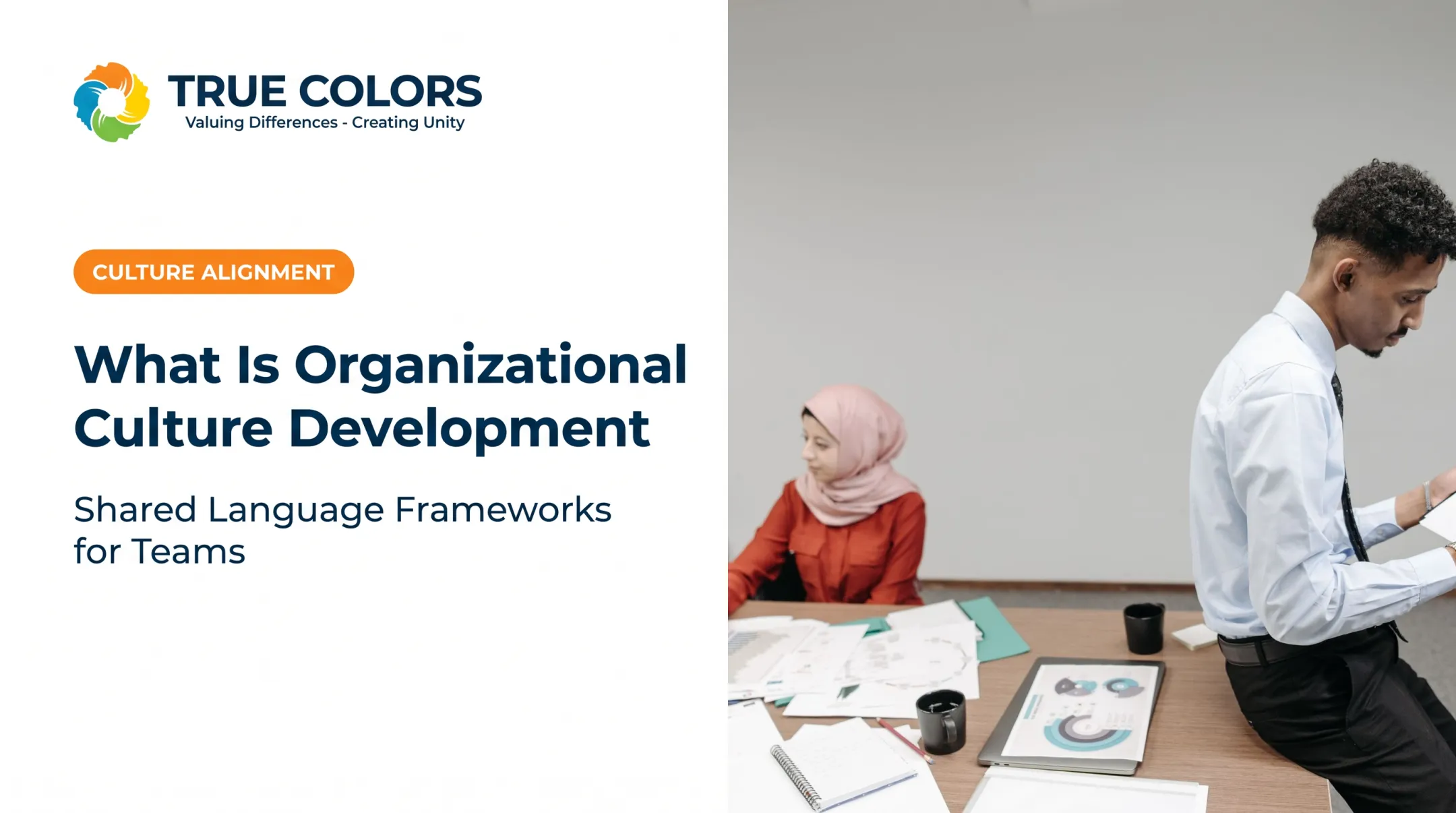 What Is Organizational Culture Development