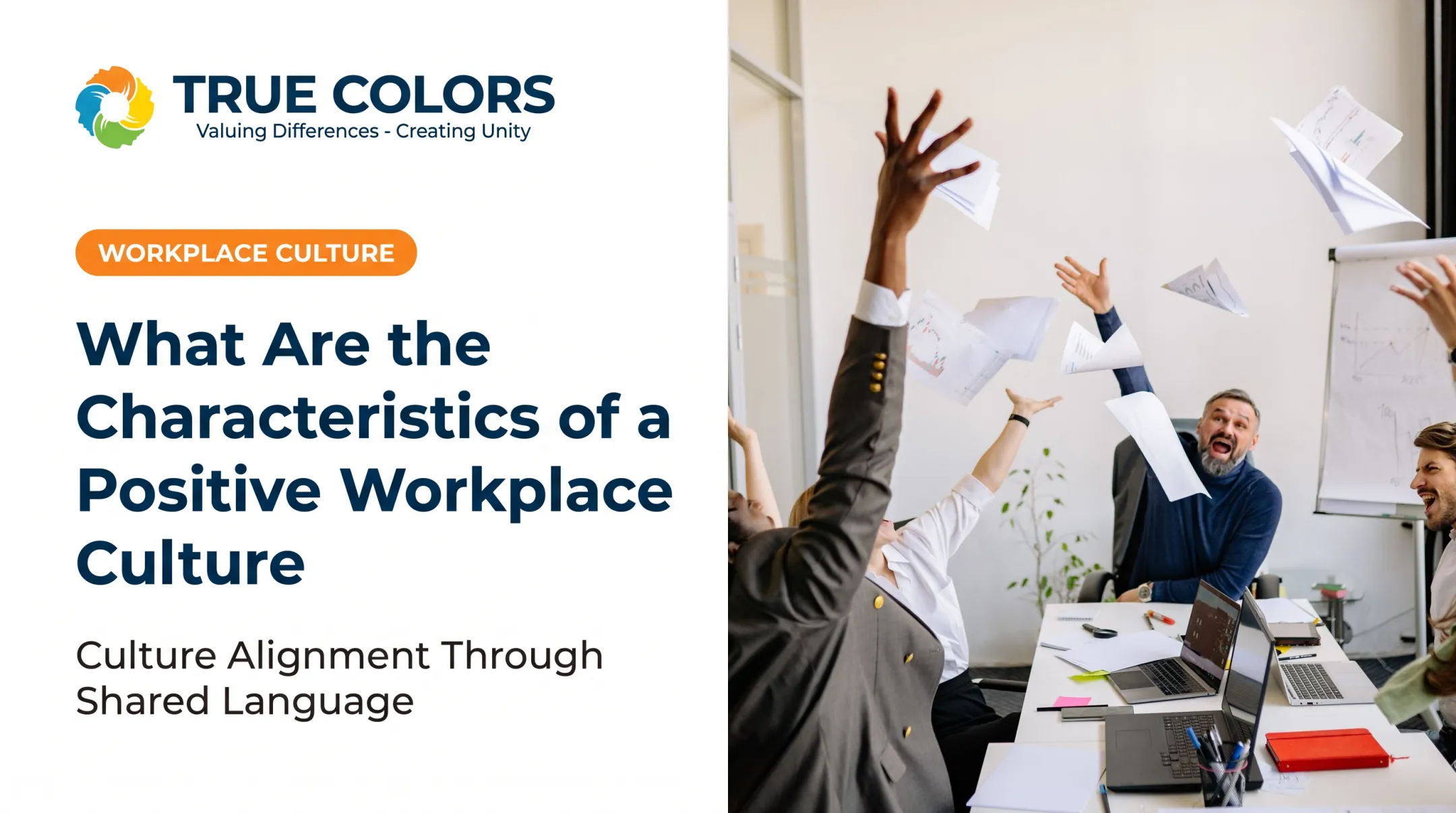 What Are the Characteristics of a Positive Workplace Culture