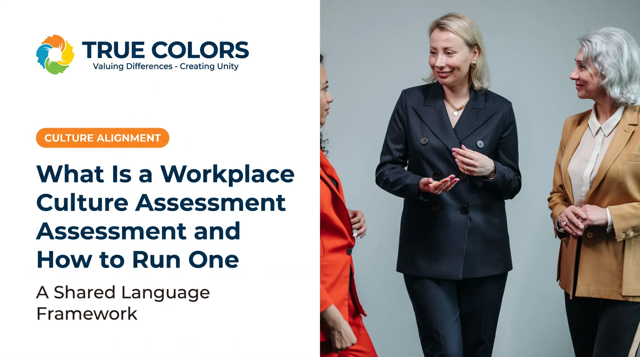 What Is a Workplace Culture Assessment and How to Run One