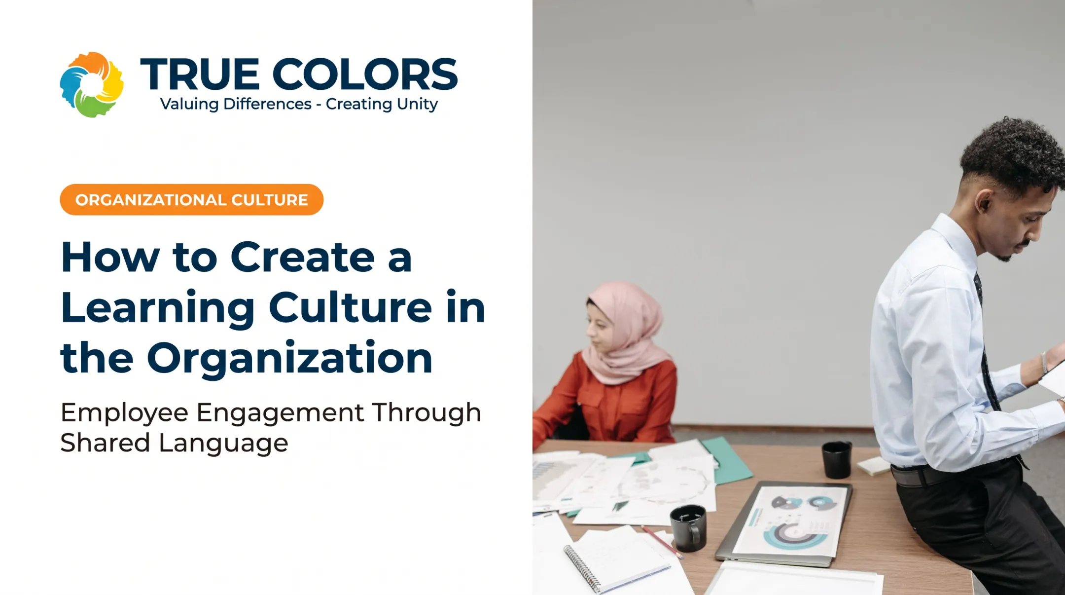 How to Create a Learning Culture in the Organization