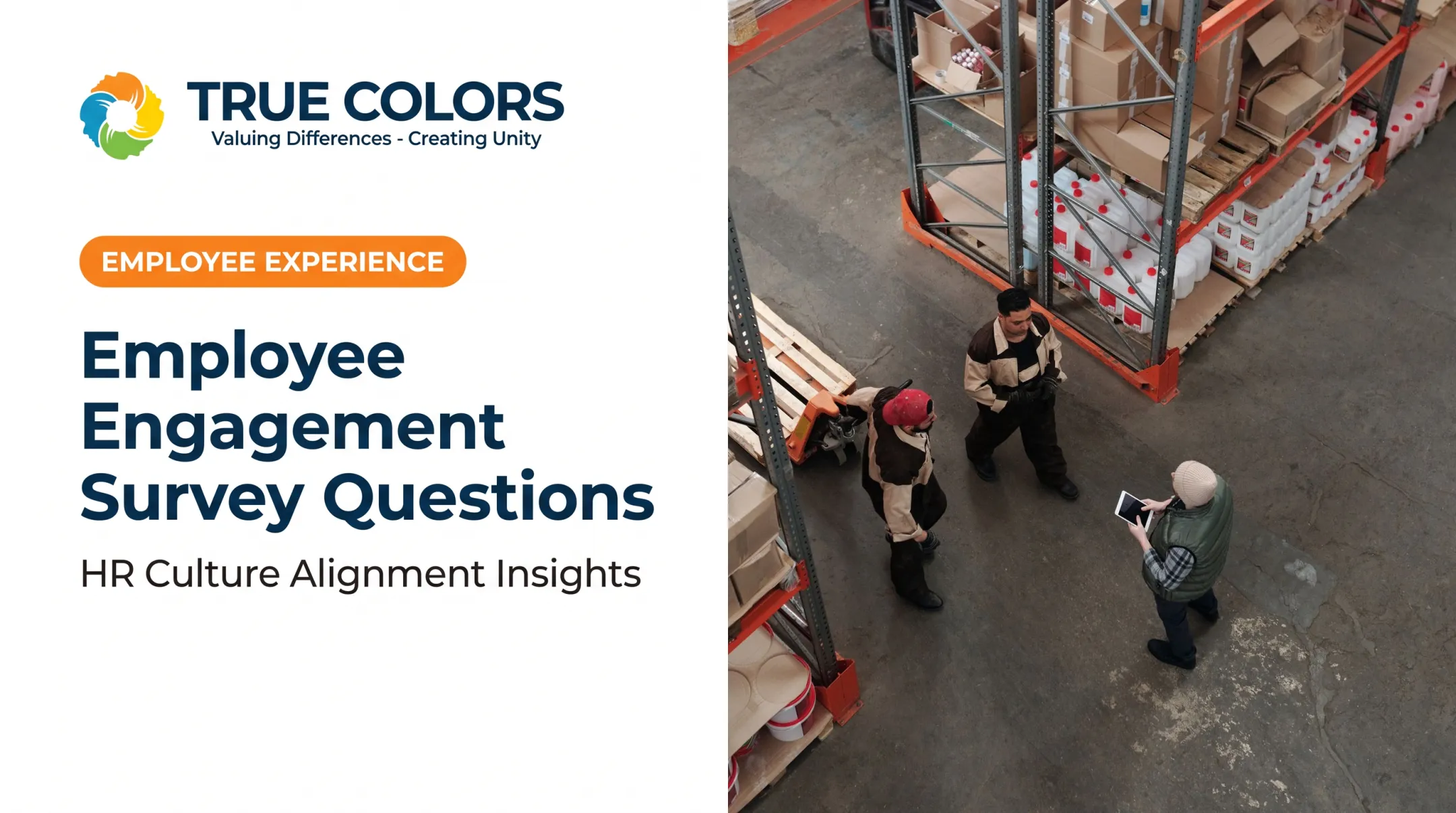 Employee Engagement Survey Questions