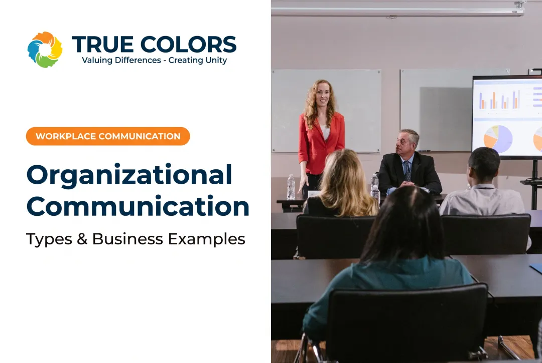 Organizational Communication: Types & Business Examples