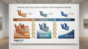 Infographic
