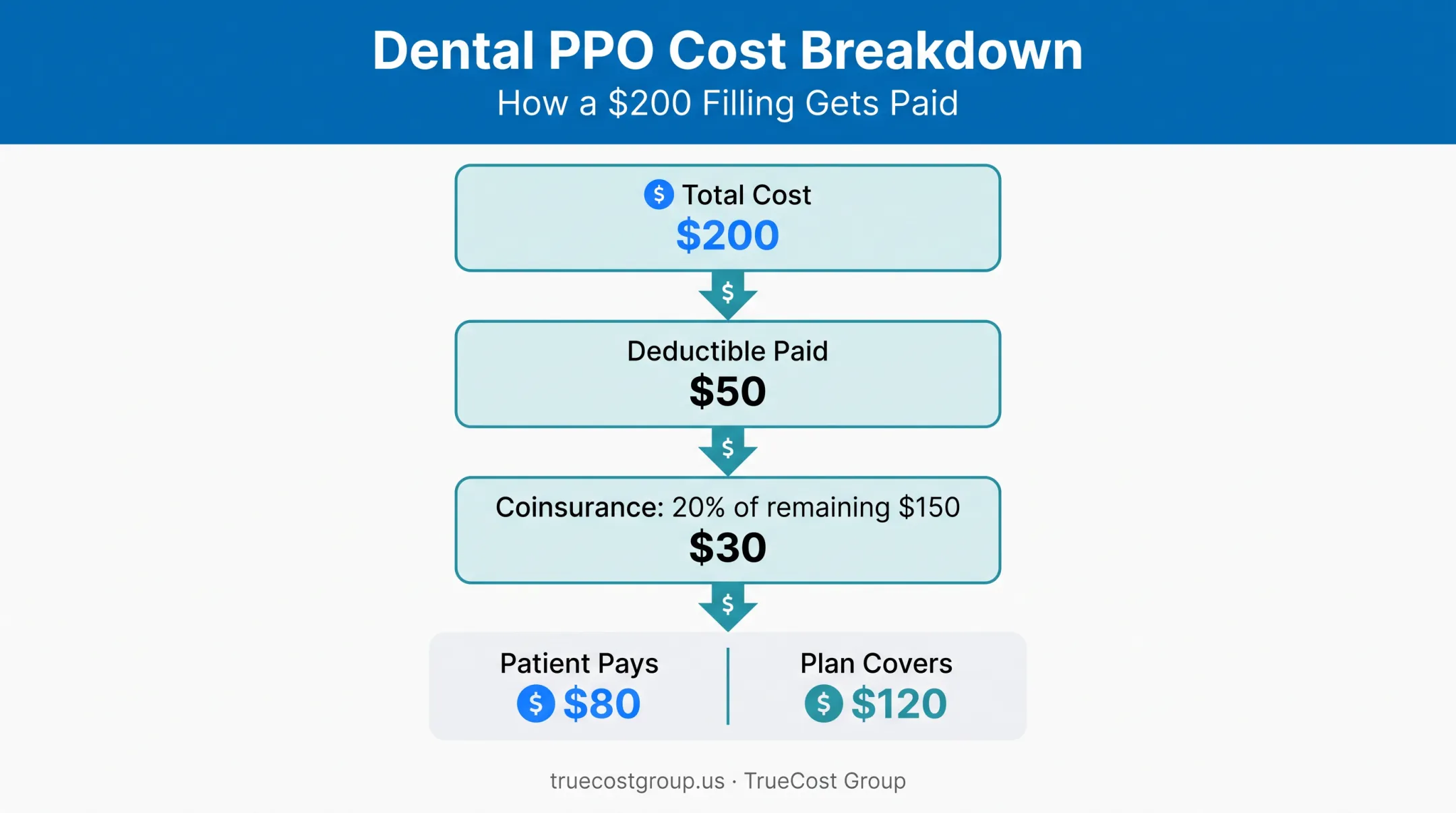 Dental PPO cost breakdown example showing deductible and coinsurance calculation