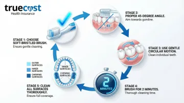 Infographic