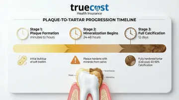 Infographic