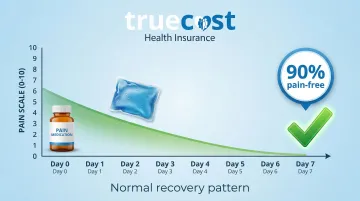 Infographic