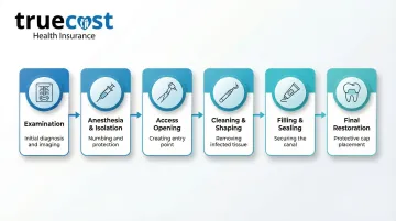 Infographic
