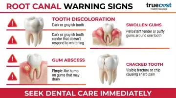 Infographic