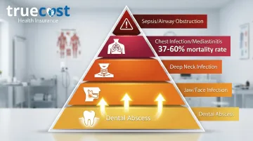 Infographic