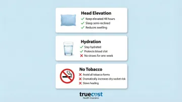 Infographic