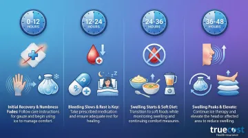 Infographic