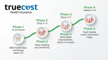 Infographic