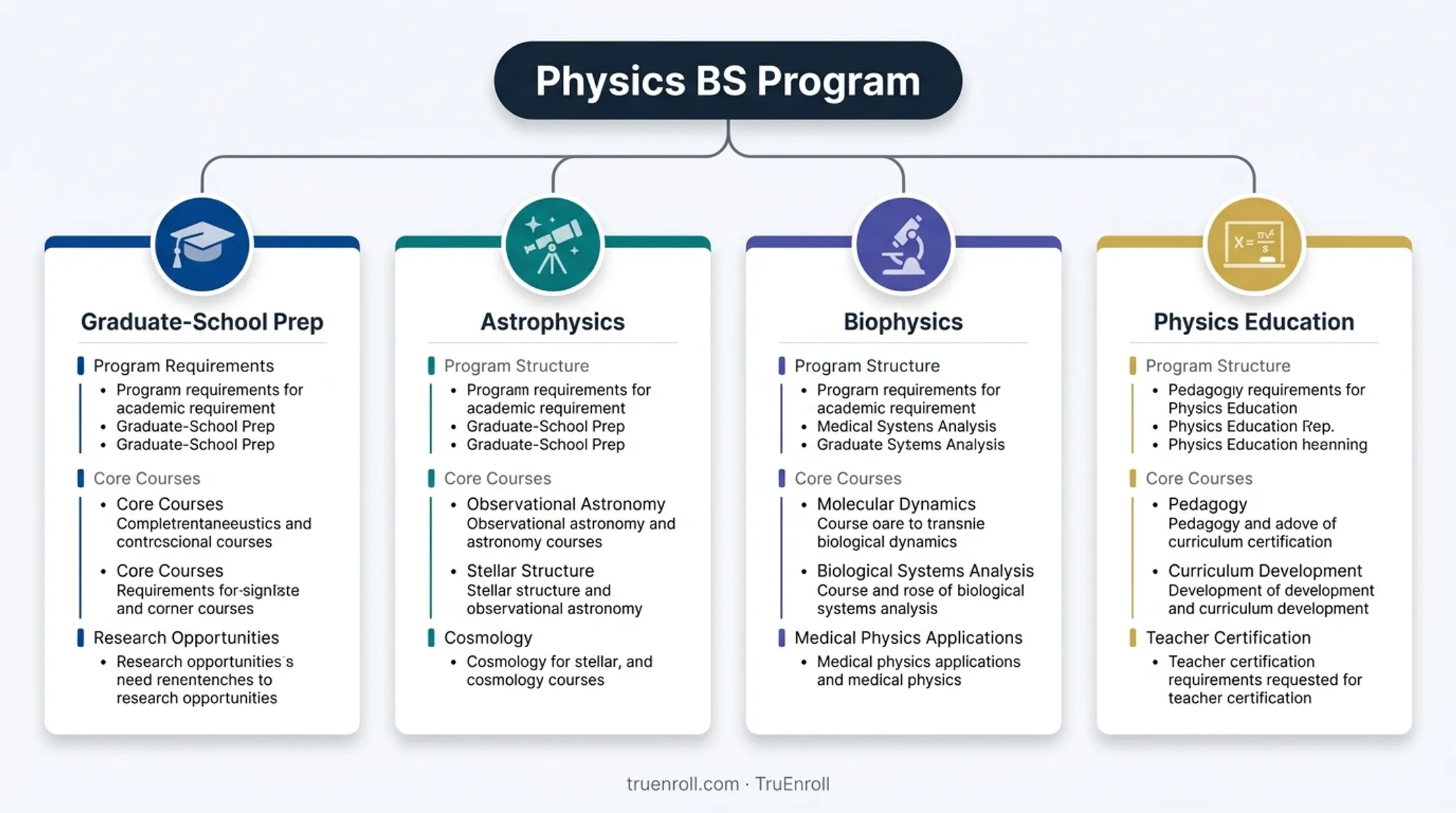 Four physics degree track options within a Bachelor of Science