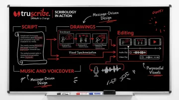 TruScribe Scribology whiteboard animation production process showing visual decision framework
