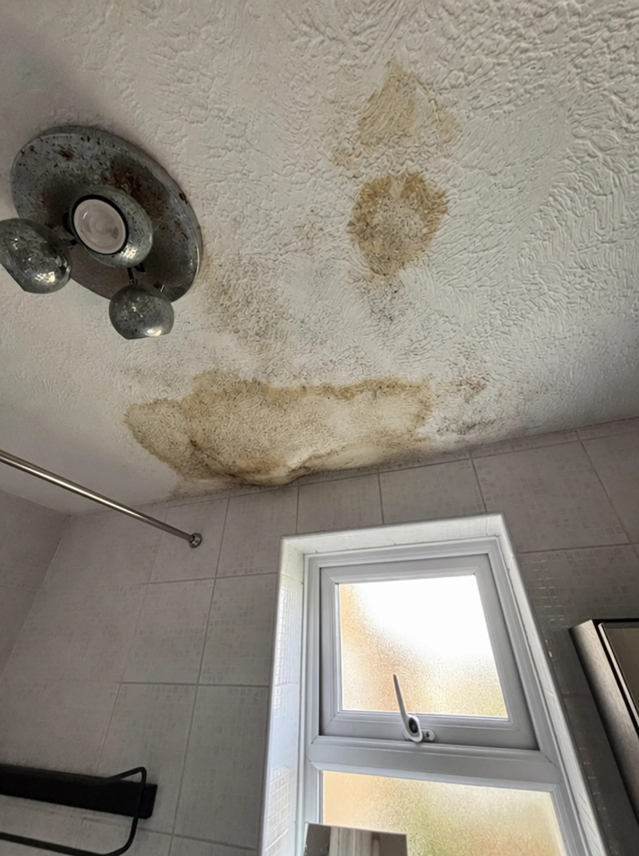 Mold damage and discoloration on bathroom ceiling drywall surface