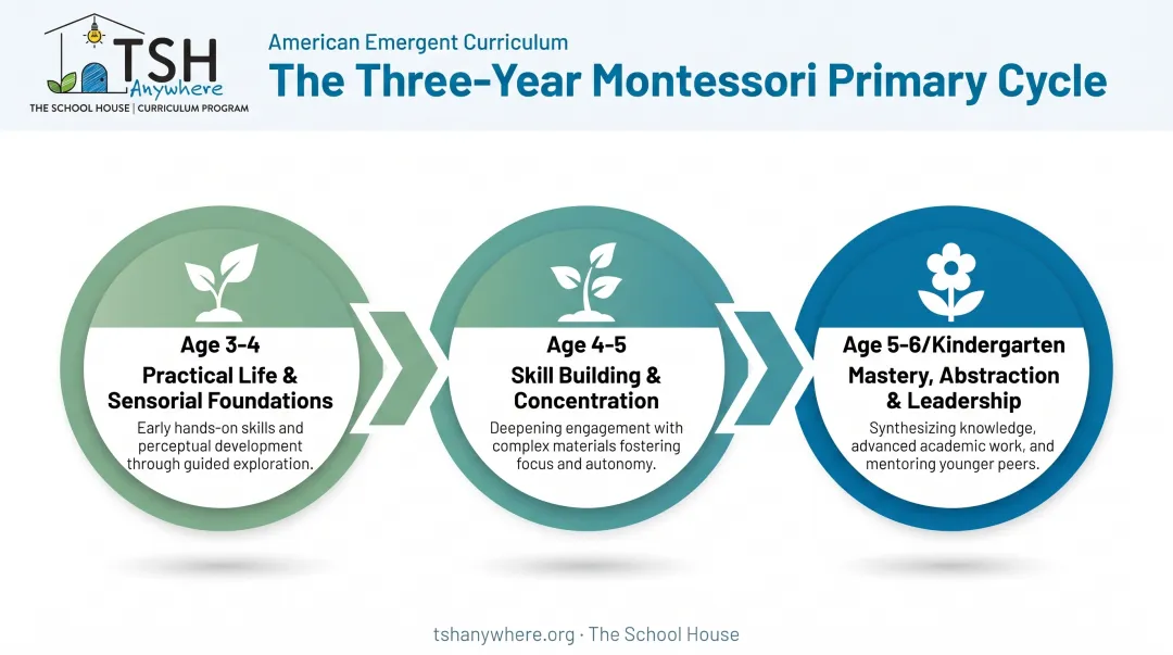 Three-year Montessori primary cycle progression from age three to six