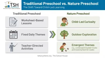 Traditional preschool versus child-led nature preschool curriculum comparison