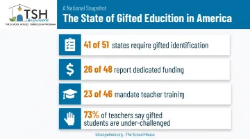 State-level gifted education support statistics showing funding and training gaps