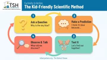 4-step ask-predict-test-observe kindergarten scientific method infographic