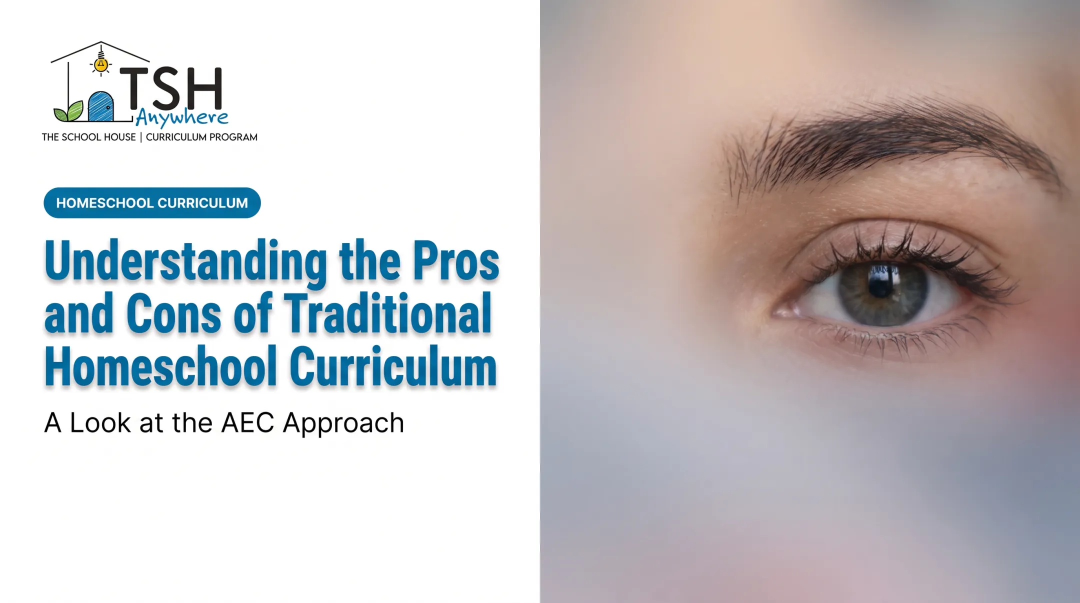Understanding the Pros and Cons of Traditional Homeschool Curriculum
