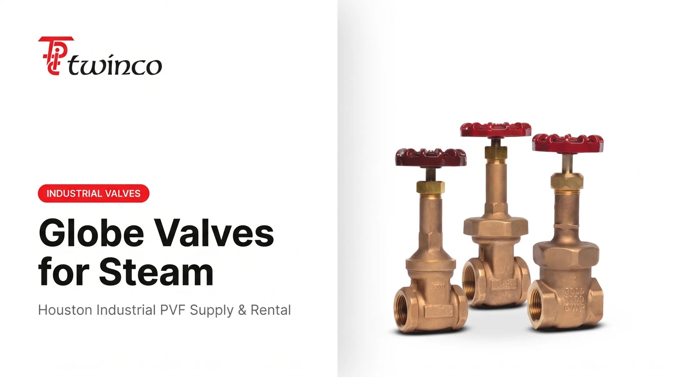 Globe Valves for Steam