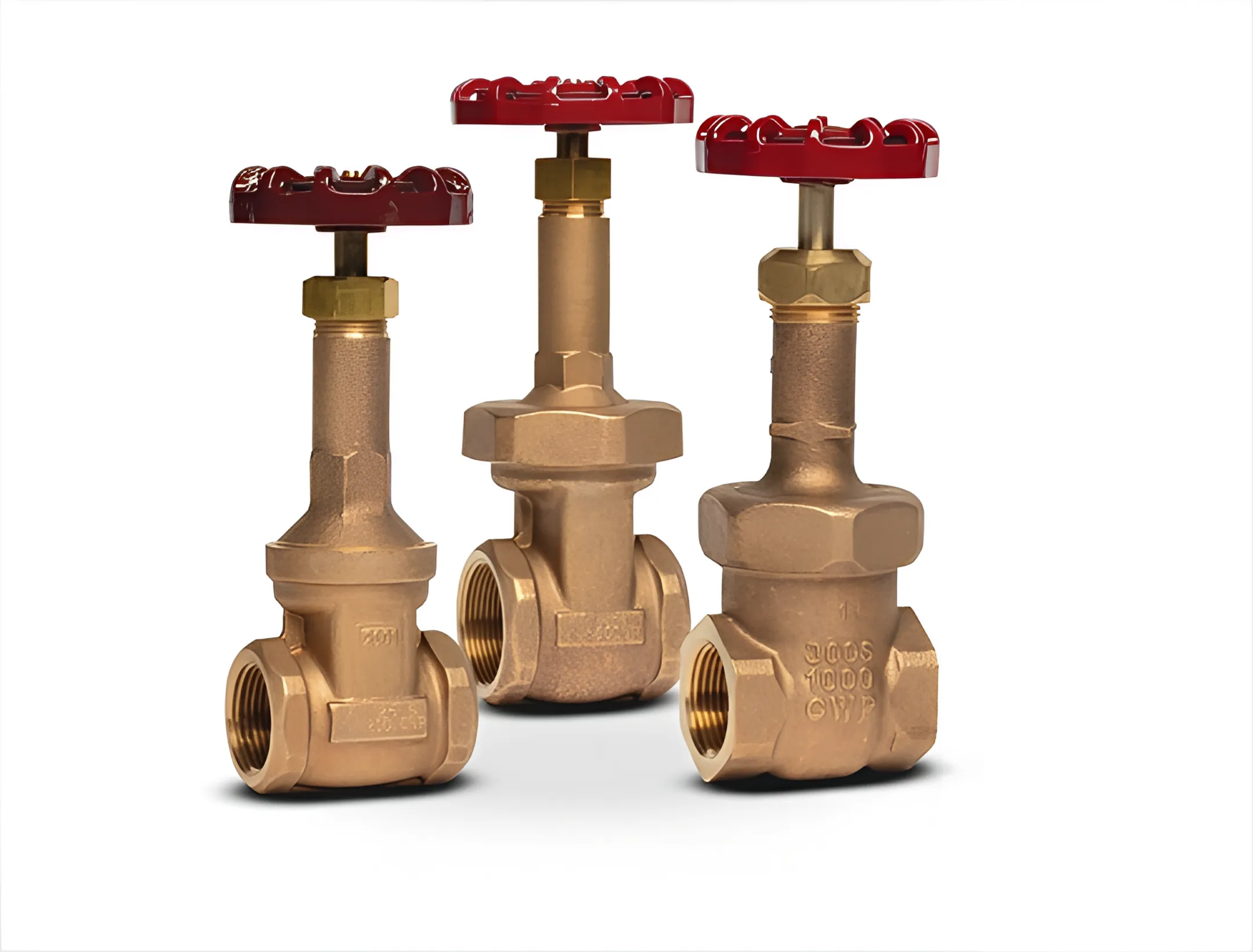 Petrochemical process piping with check valve