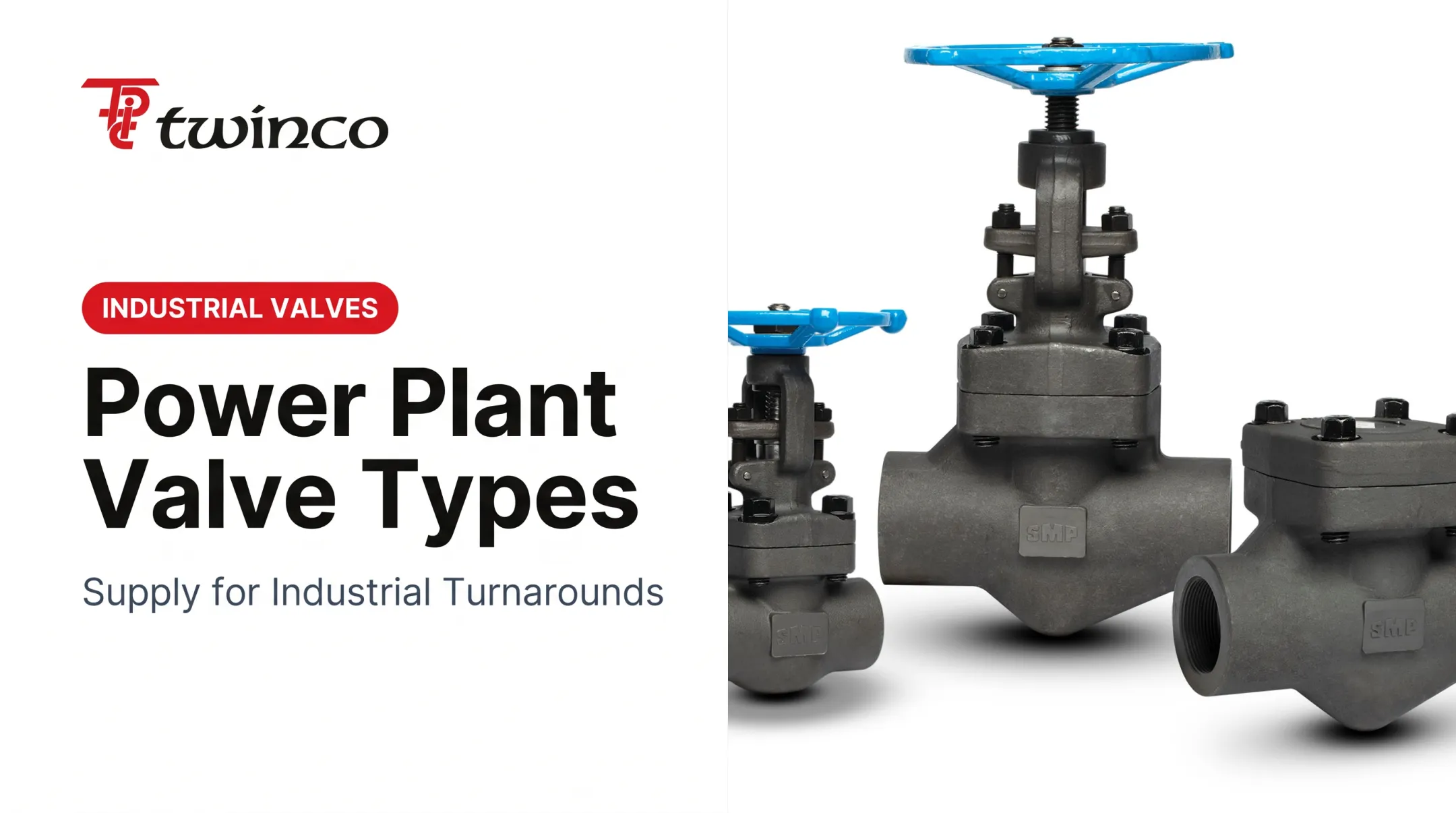 Power Plant Valve Types