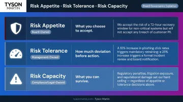 Three-layer risk framework comparing appetite tolerance and capacity with ownership levels