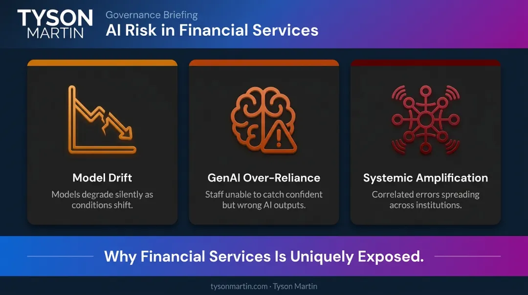 Three AI risk categories in financial services systemic vulnerability infographic
