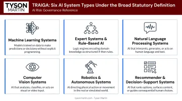 Six AI system types covered under TRAIGA broad statutory definition