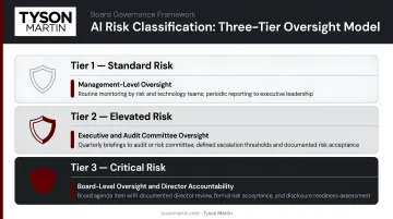 Three-tier AI risk classification model with oversight requirements for each level
