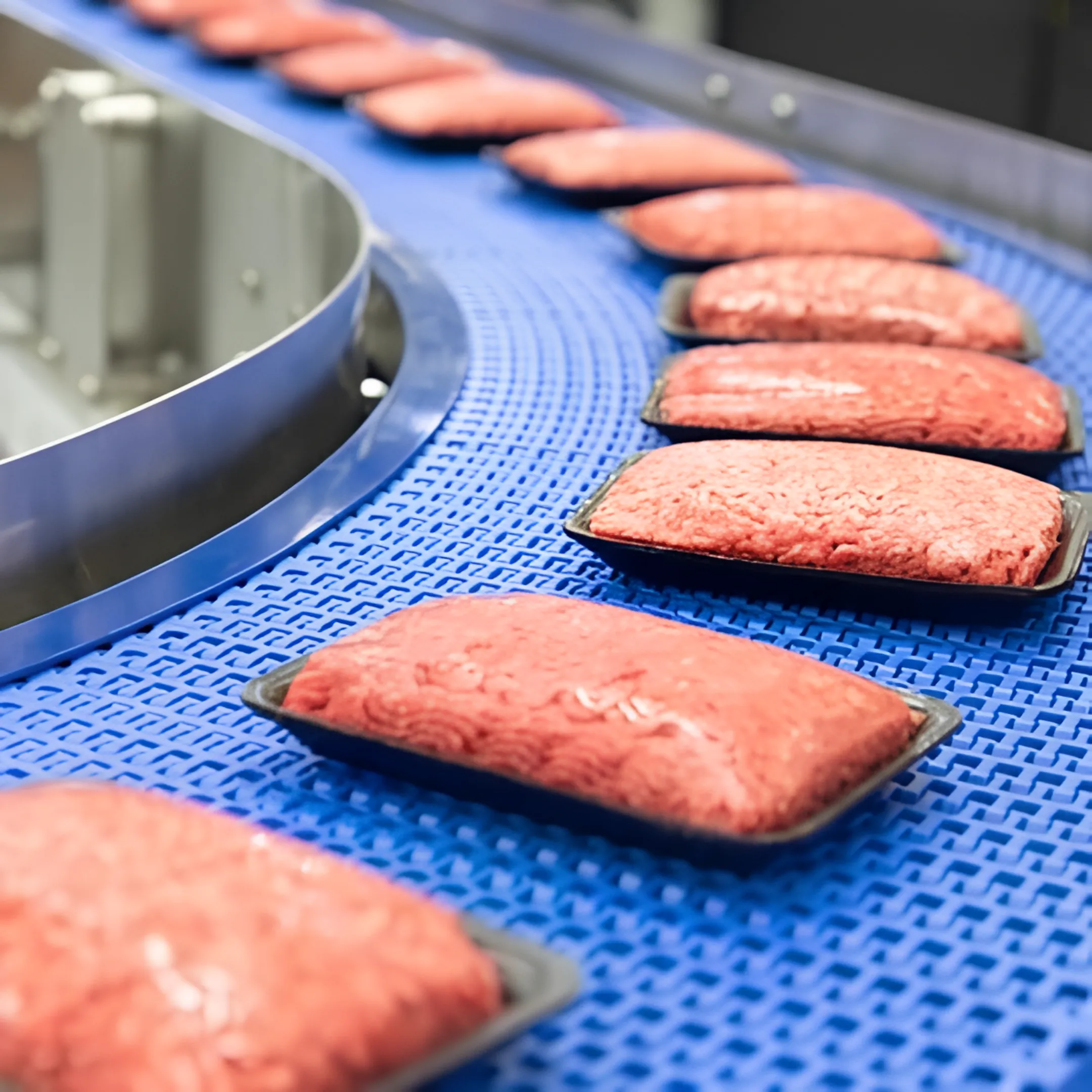 Food and Beverage Processing