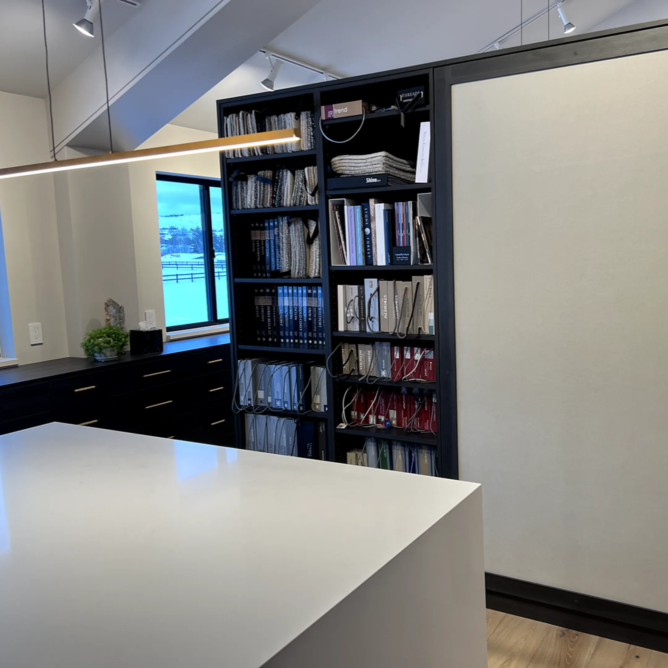 Cabinet designer reviewing custom storage plans