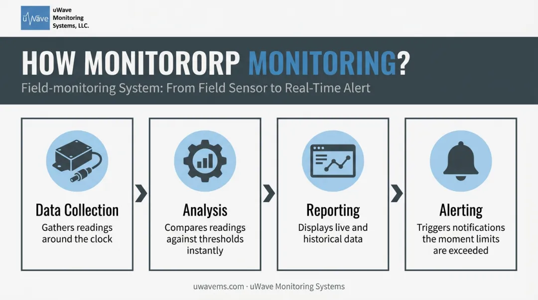 Four automated components of a continuous monitoring system workflow