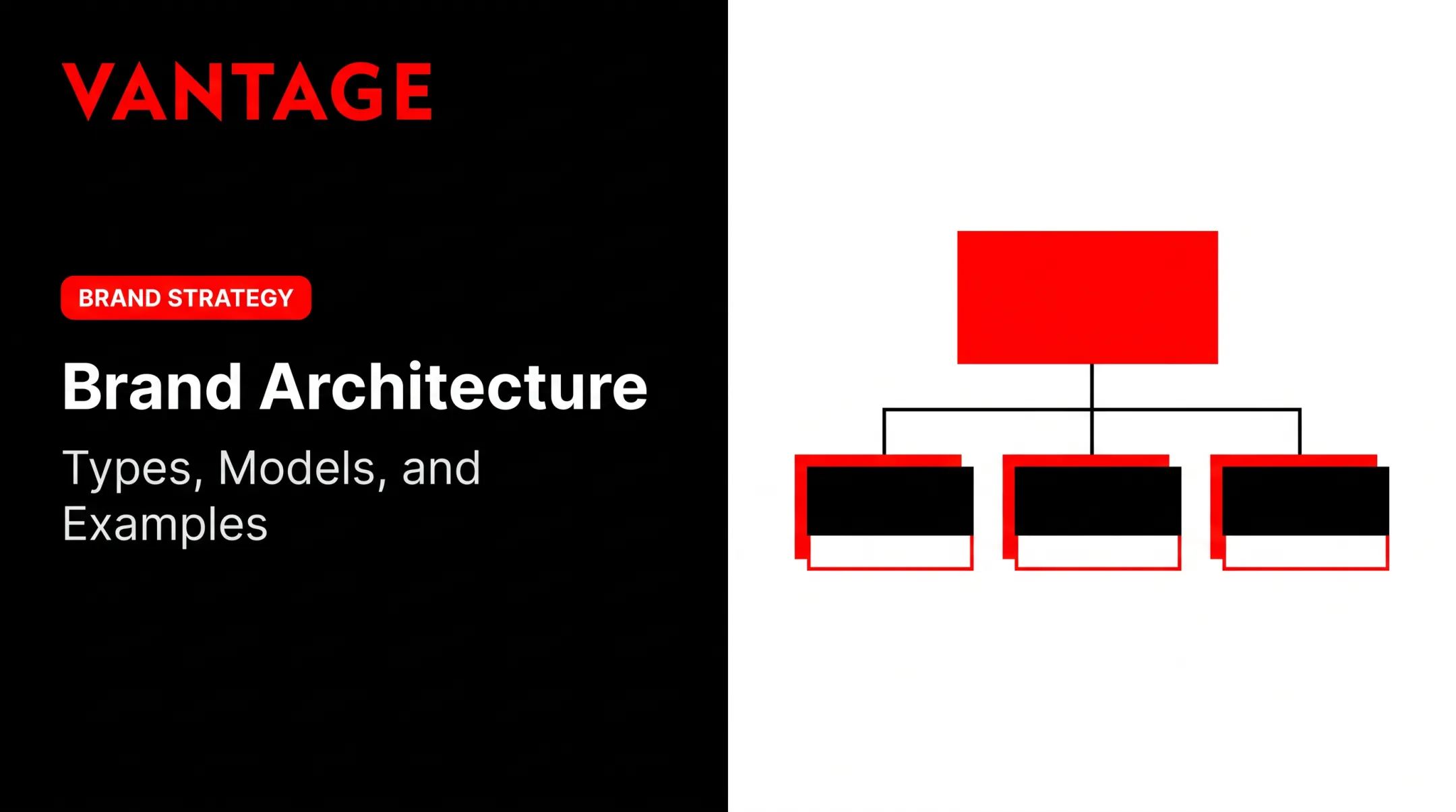 Brand Architecture: Types, Models, and Examples
