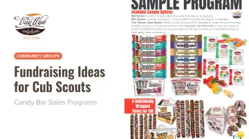 Fundraising Ideas for Cub Scouts