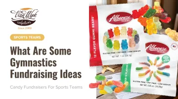 What Are Some Gymnastics Fundraising Ideas