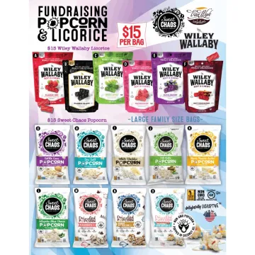 Fundraising organizer reviewing popcorn sale materials