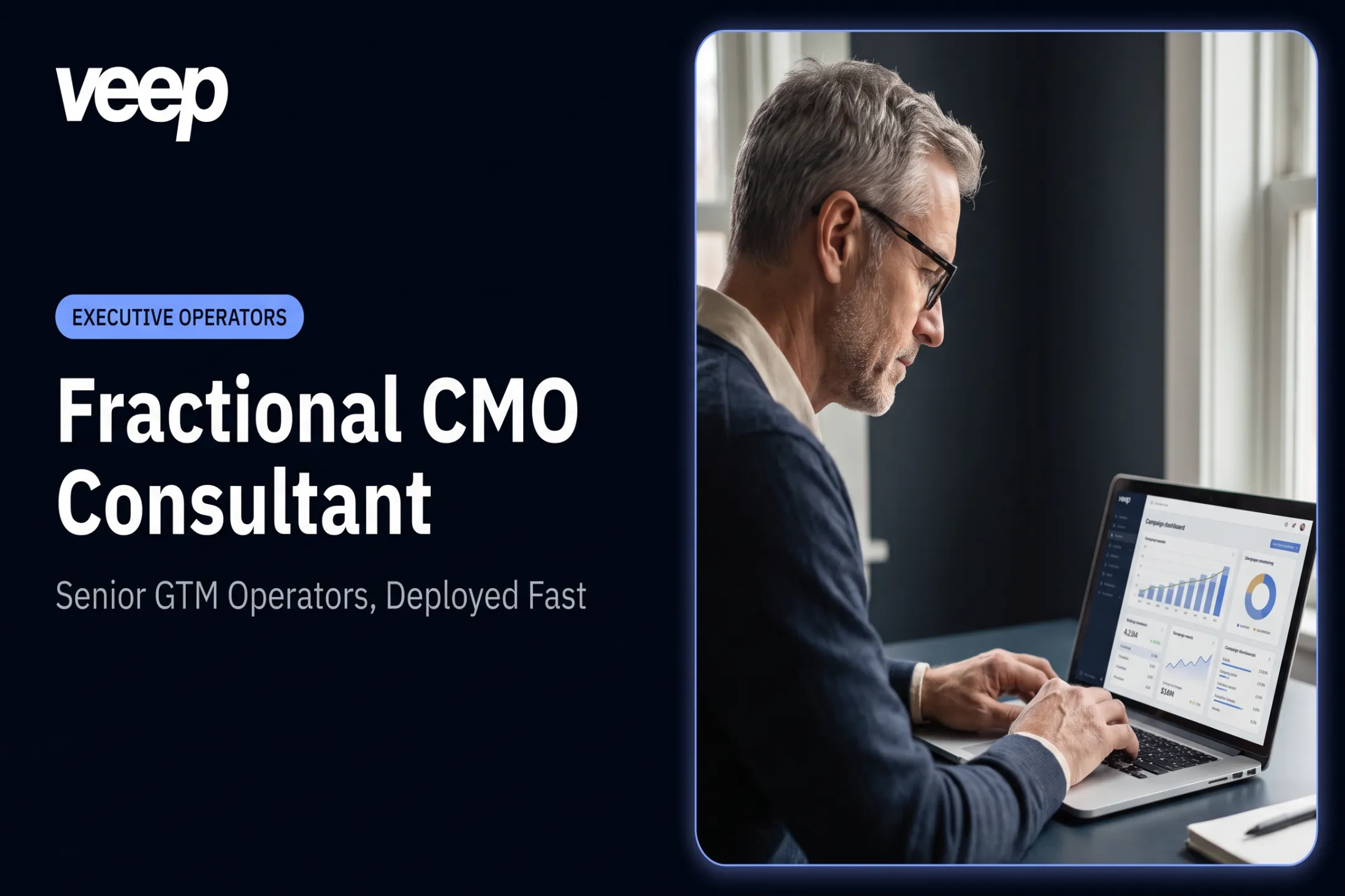 Fractional CMO Consultant