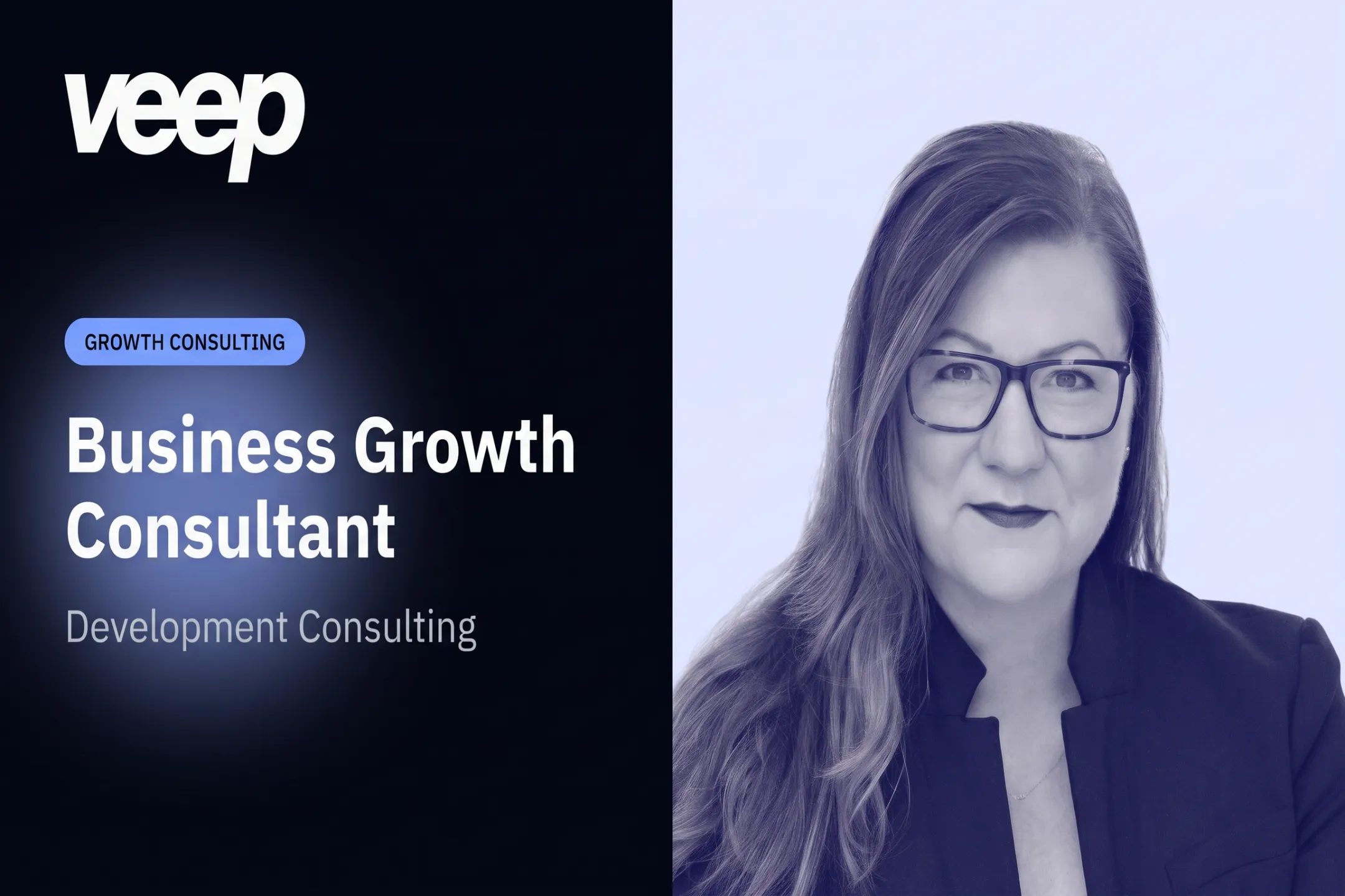 Business Growth Consultant: Development Consulting